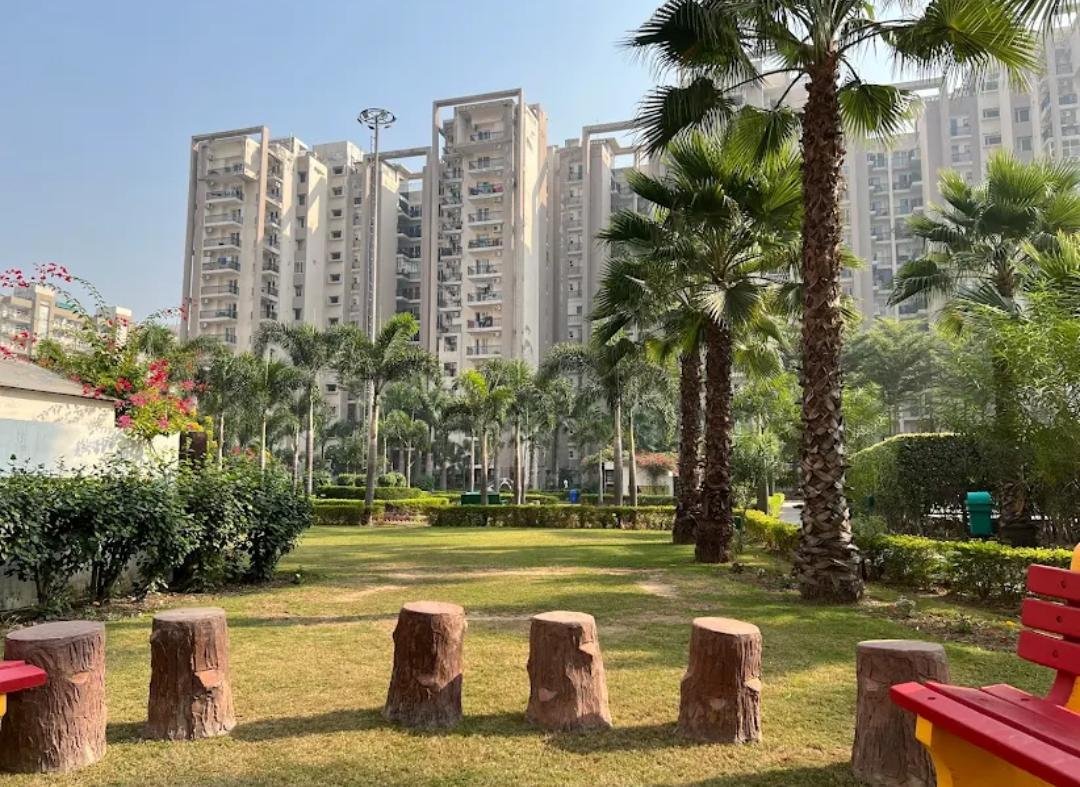 3BHK Flat For Rent in Motia Royal city, Zirakpur