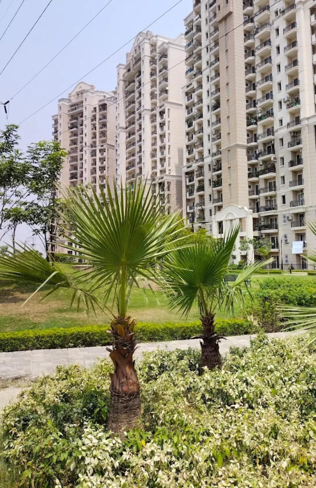 3BHK Apartment for Rent in ATS Golf Meadows Lifesatyle, Derabassi